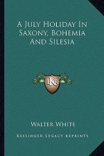 A July Holiday in Saxony, Bohemia and Silesia