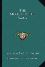 The Mirage of the Many