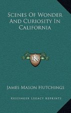 Scenes of Wonder and Curiosity in California