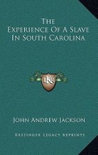The Experience of a Slave in South Carolina