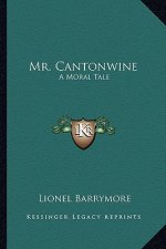 Mr. Cantonwine: A Moral Tale
