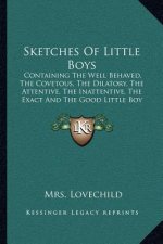 Sketches of Little Boys: Containing the Well Behaved, the Covetous, the Dilatory, the Attentive, the Inattentive, the Exact and the Good Little