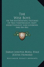 The Wise Boys the Wise Boys: Or the Entertaining Histories of Fred Forethought, Matt Merror the Entertaining Histories of Fred Forethought, Matt Me