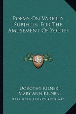 Poems on Various Subjects, for the Amusement of Youth