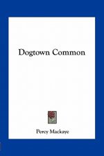 Dogtown Common