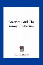 America and the Young Intellectual