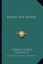 Down the Ravine
