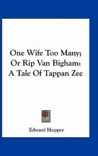 One Wife Too Many; Or Rip Van Bigham: A Tale of Tappan Zee