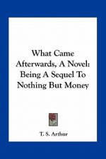 What Came Afterwards, a Novel: Being a Sequel to Nothing But Money