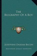 The Biography of a Boy