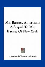 Mr. Barnes, American: A Sequel to Mr. Barnes of New York