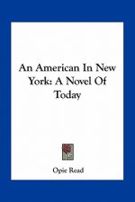 An American in New York: A Novel of Today