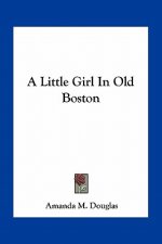 A Little Girl in Old Boston