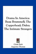 Drama in America: Beau Brummell; The Copperhead; Duley; The Intimate Strangers