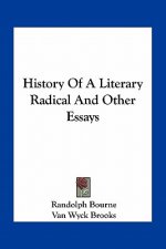 History Of A Literary Radical And Other Essays