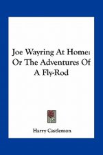 Joe Wayring at Home: Or the Adventures of a Fly-Rod