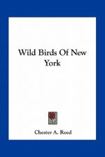 Wild Birds of New York