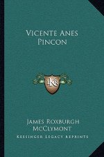 Vicente Anes Pincon
