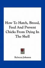 How to Hatch, Brood, Feed and Prevent Chicks from Dying in the Shell