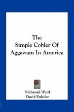 The Simple Cobler of Aggawam in America