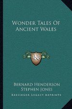 Wonder Tales of Ancient Wales