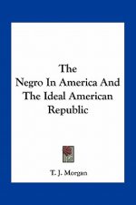The Negro in America and the Ideal American Republic