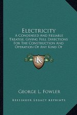 Electricity: A Condensed and Reliable Treatise, Giving Full Directions Foa Condensed and Reliable Treatise, Giving Full Directions
