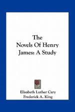 The Novels of Henry James: A Study