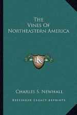 The Vines of Northeastern America