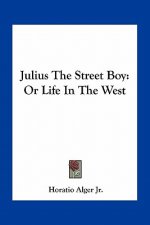 Julius the Street Boy: Or Life in the West