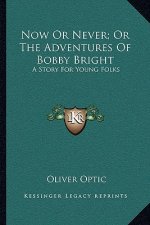 Now Or Never; Or The Adventures Of Bobby Bright: A Story For Young Folks