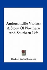 Andersonville Violets: A Story Of Northern And Southern Life