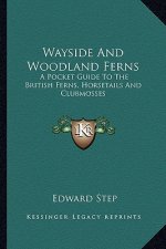 Wayside and Woodland Ferns: A Pocket Guide to the British Ferns, Horsetails and Clubmosses