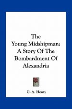 The Young Midshipman: A Story Of The Bombardment Of Alexandria