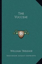 The Yucceae