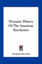 Domestic History Of The American Revolution