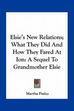 Elsie's New Relations; What They Did and How They Fared at Ion: A Sequel to Grandmother Elsie