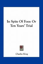 In Spite of Foes: Or Ten Years' Trial