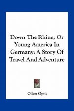 Down the Rhine; Or Young America in Germany: A Story of Travel and Adventure