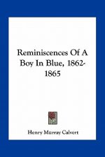 Reminiscences Of A Boy In Blue, 1862-1865