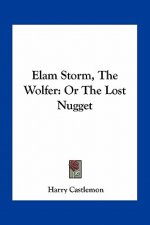 Elam Storm, the Wolfer: Or the Lost Nugget
