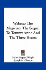 Wabeno the Magician: The Sequel to Tommy-Anne and the Three Hearts