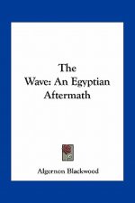 The Wave: An Egyptian Aftermath