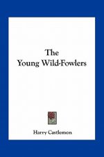 The Young Wild-Fowlers