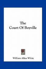 The Court of Boyville