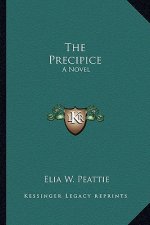 The Precipice the Precipice: A Novel a Novel