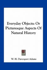 Everyday Objects: Or Picturesque Aspects Of Natural History