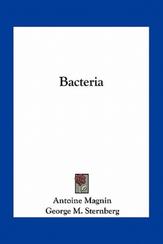 Bacteria