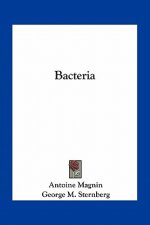 Bacteria