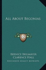 All about Begonias